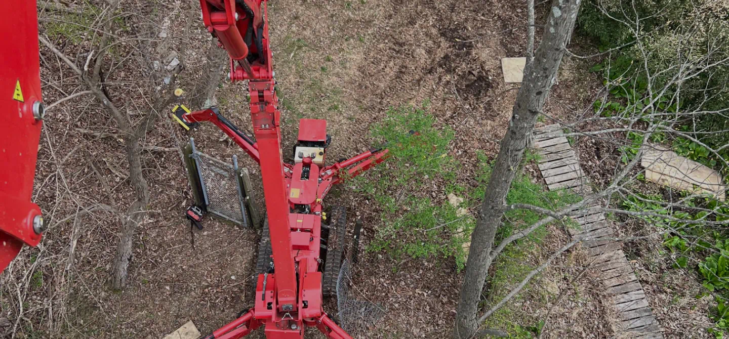 tree preservation hero