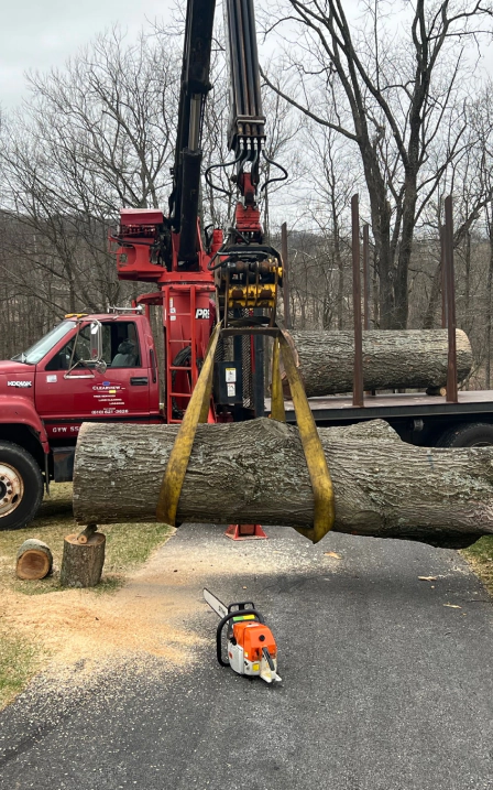 tree services