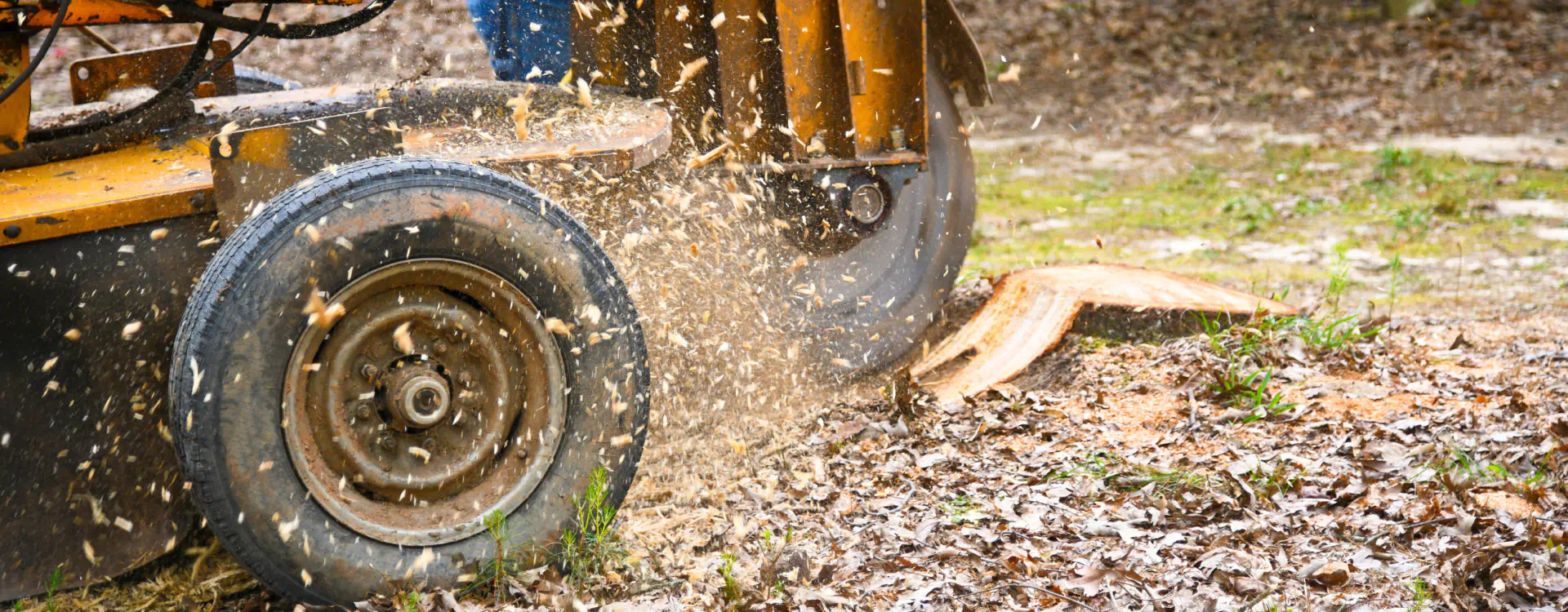 hero stump removal services