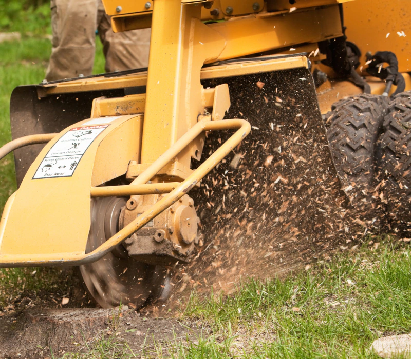 service stump removal work