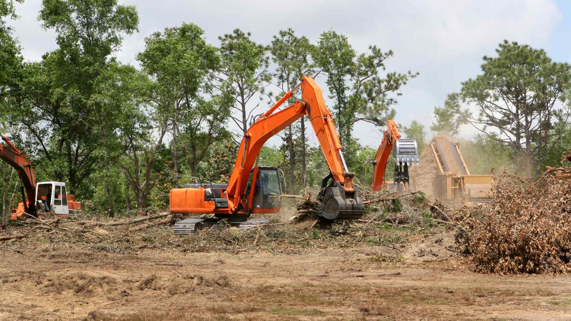land clearing 1