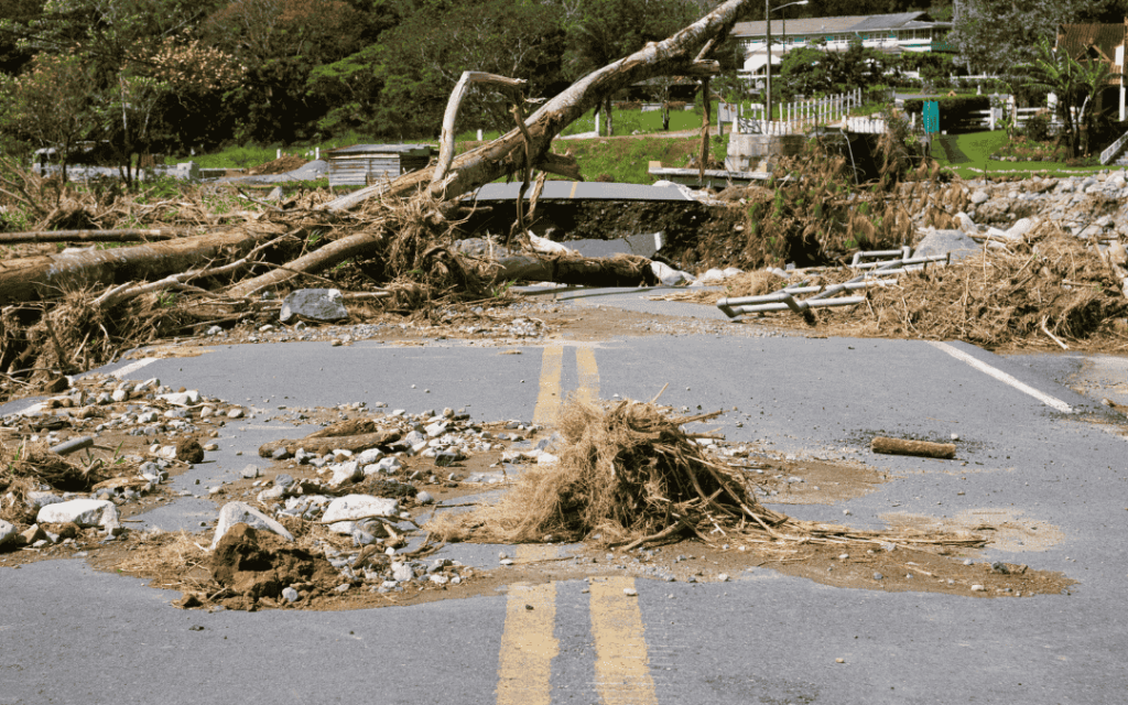 bamisealabi (1440 x 900 px) (52)