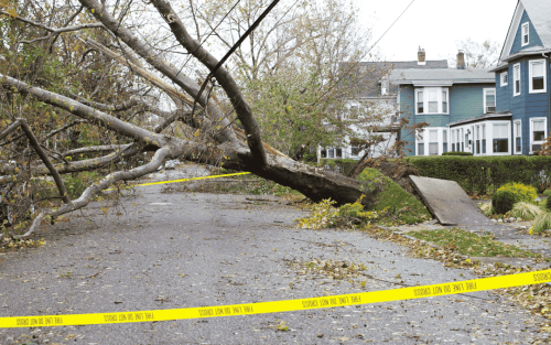 bamisealabi (1440 x 900 px) (53)